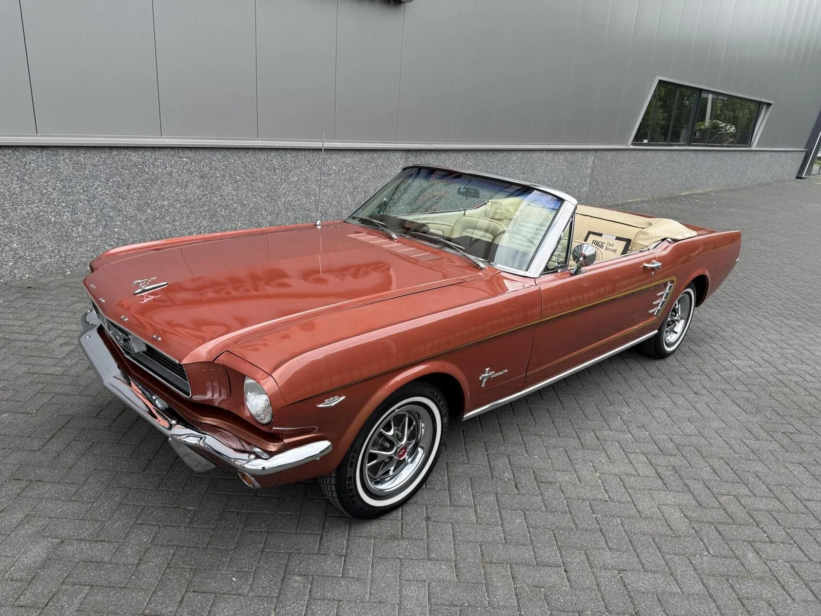 Ford Mustang (1966) — foto 1