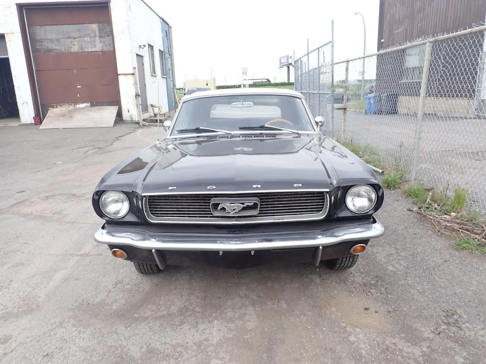 Ford Mustang (1966) — foto 1