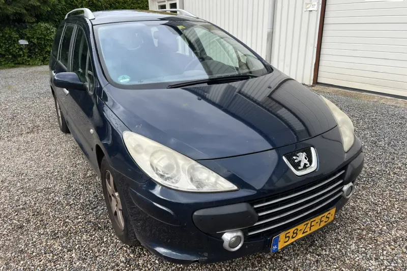 Peugeot 307 (2008)