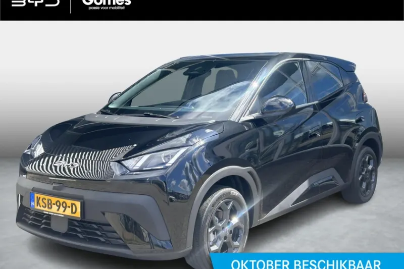 BYD Dolphin (2026)