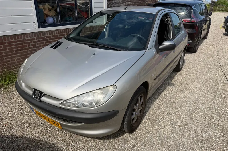 Peugeot 206 (2004)
