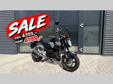 Honda MSX 125 (2026) — foto 1