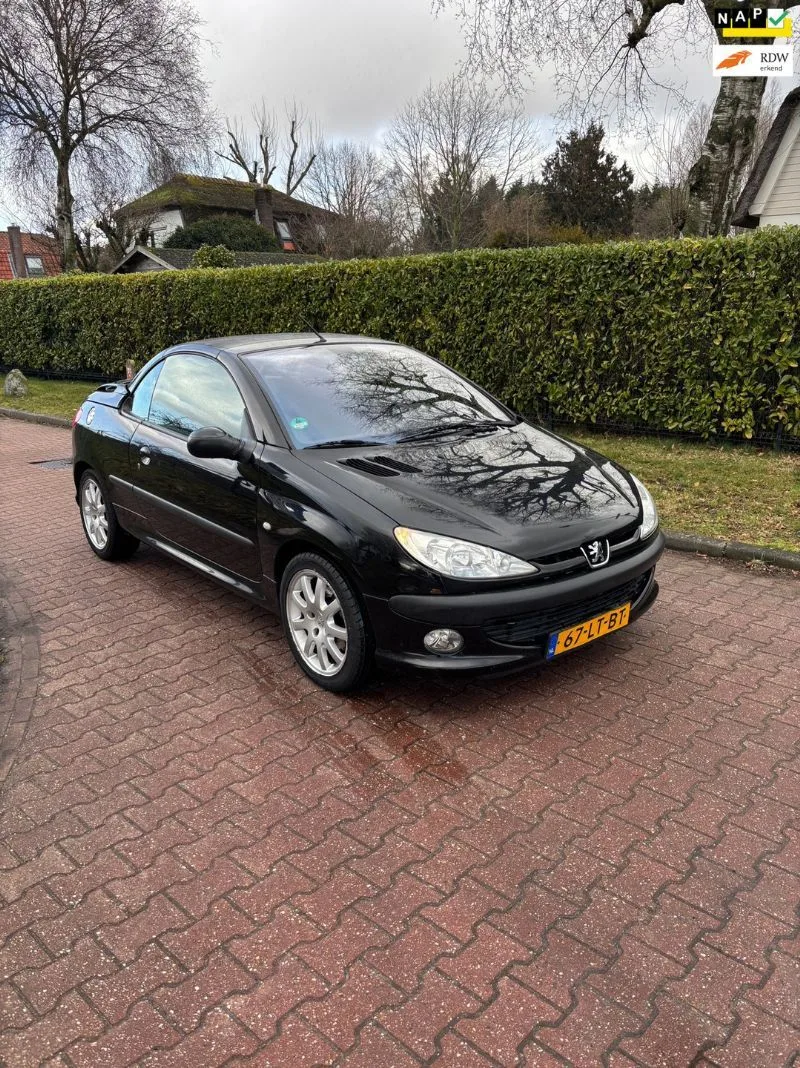 Peugeot 206 (2003) — foto 1