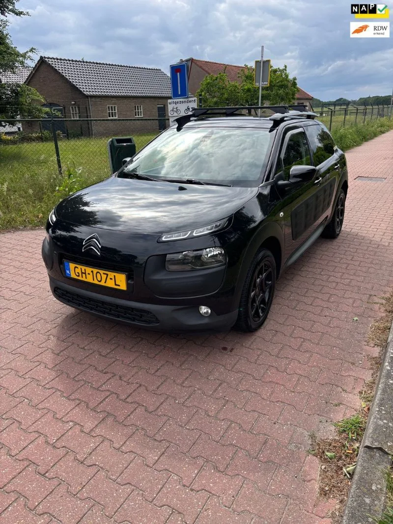 Citroën C4 Cactus (2015) — foto 1