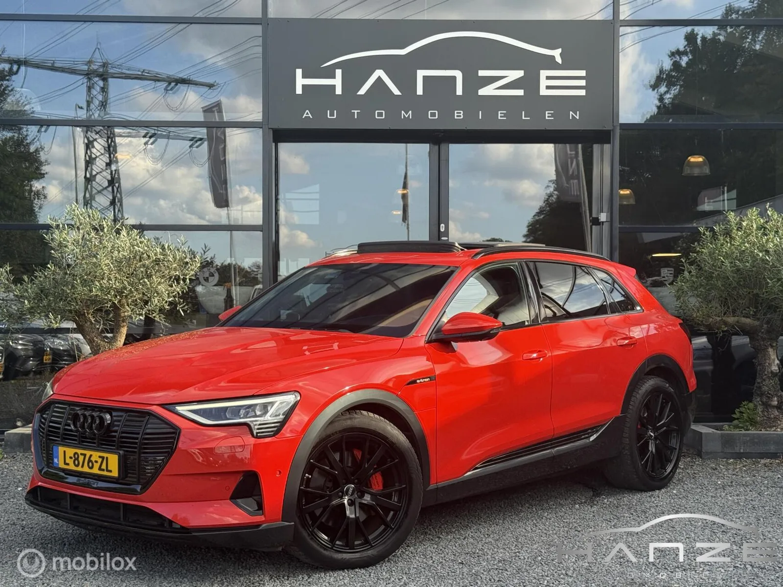 Audi e-tron (2019) — foto 1