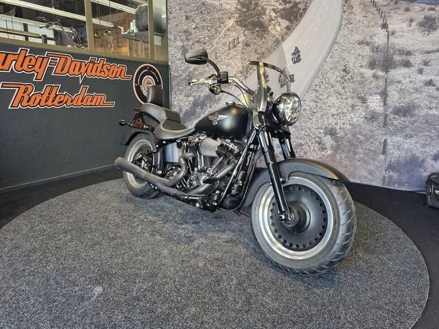 Harley-Davidson FAT BOY Special (2011) — foto 1
