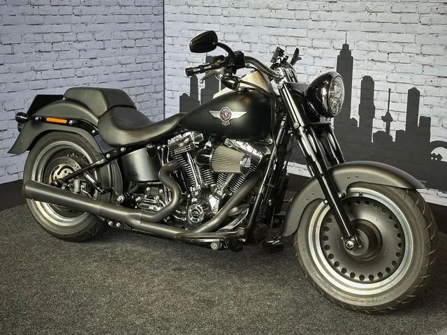 Harley-Davidson Fat Boy Special (2011) — foto 1