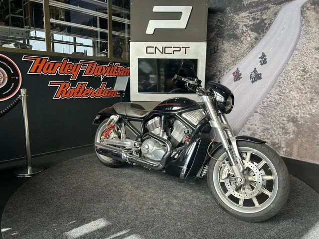 Harley-Davidson Street Rod (2005) — foto 1