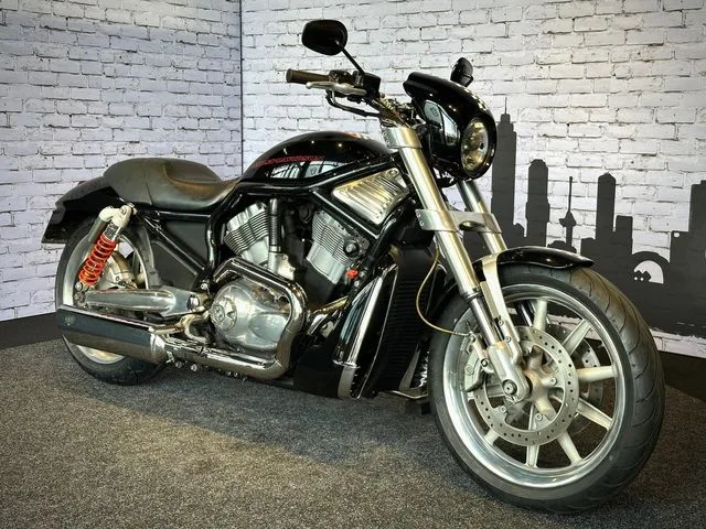 Harley-Davidson Street Rod (2005) — foto 1