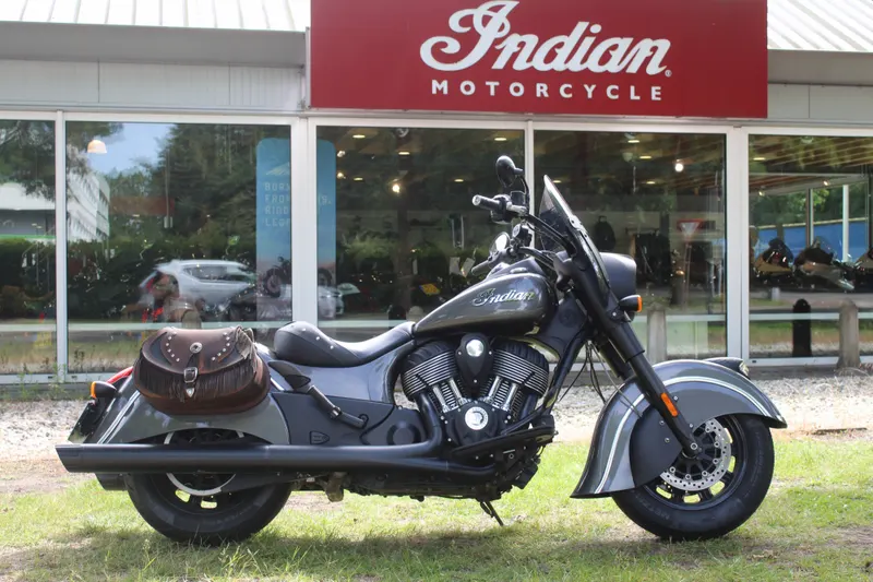 Indian Dark Horse (2015)