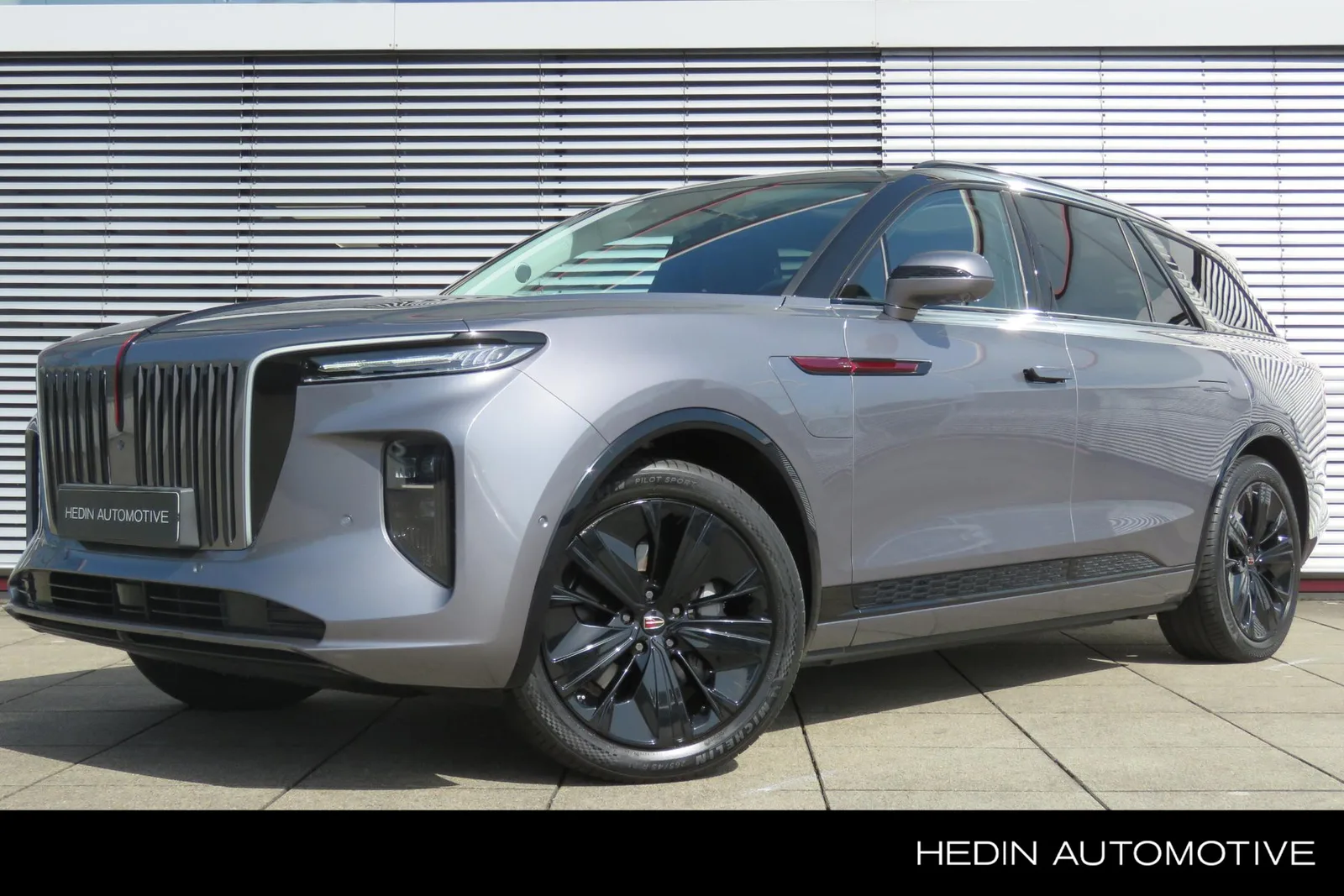 Hongqi E-HS9 (2023) — foto 1