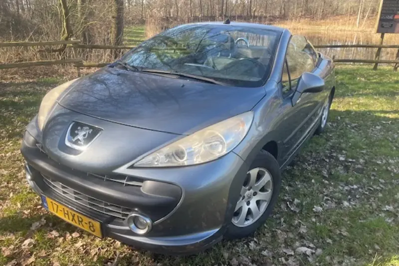 Peugeot 207 (2008)