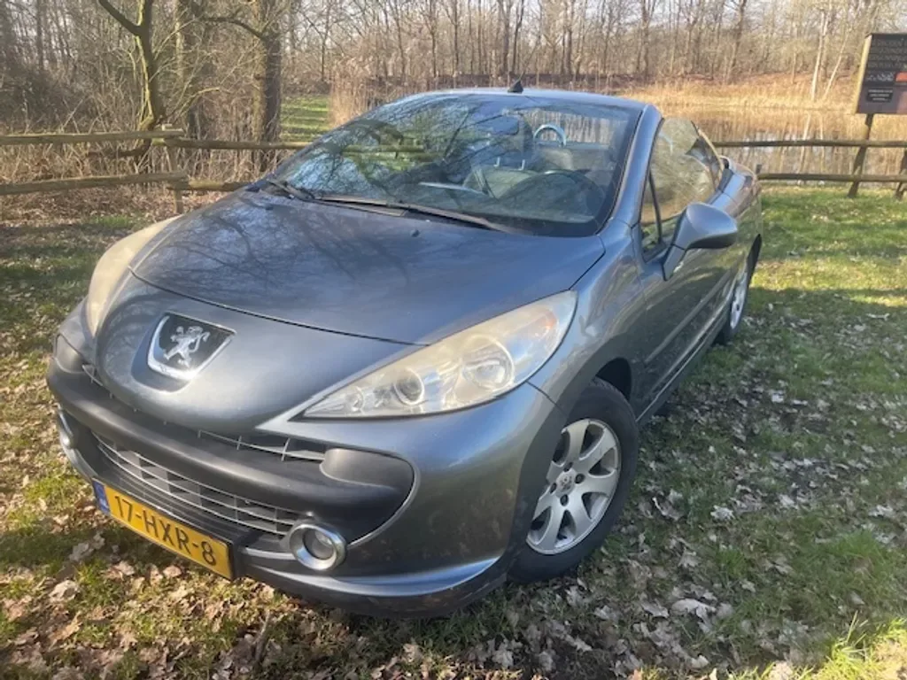 Peugeot 207 (2008) — foto 1