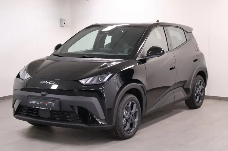 BYD Dolphin Surf (2026)