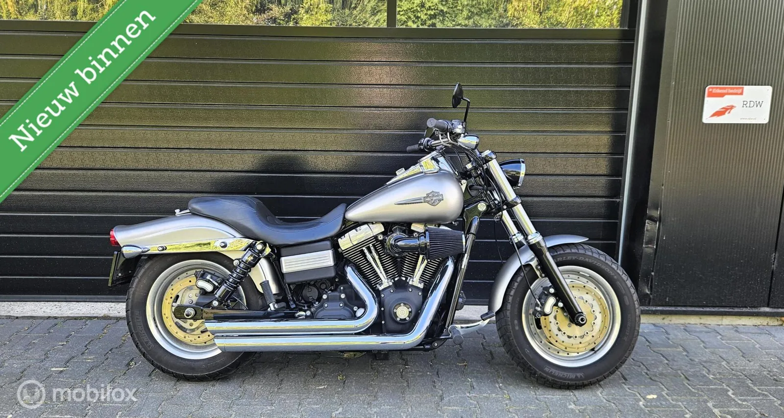 Harley-Davidson Fat Bob 96 (2009) — foto 1
