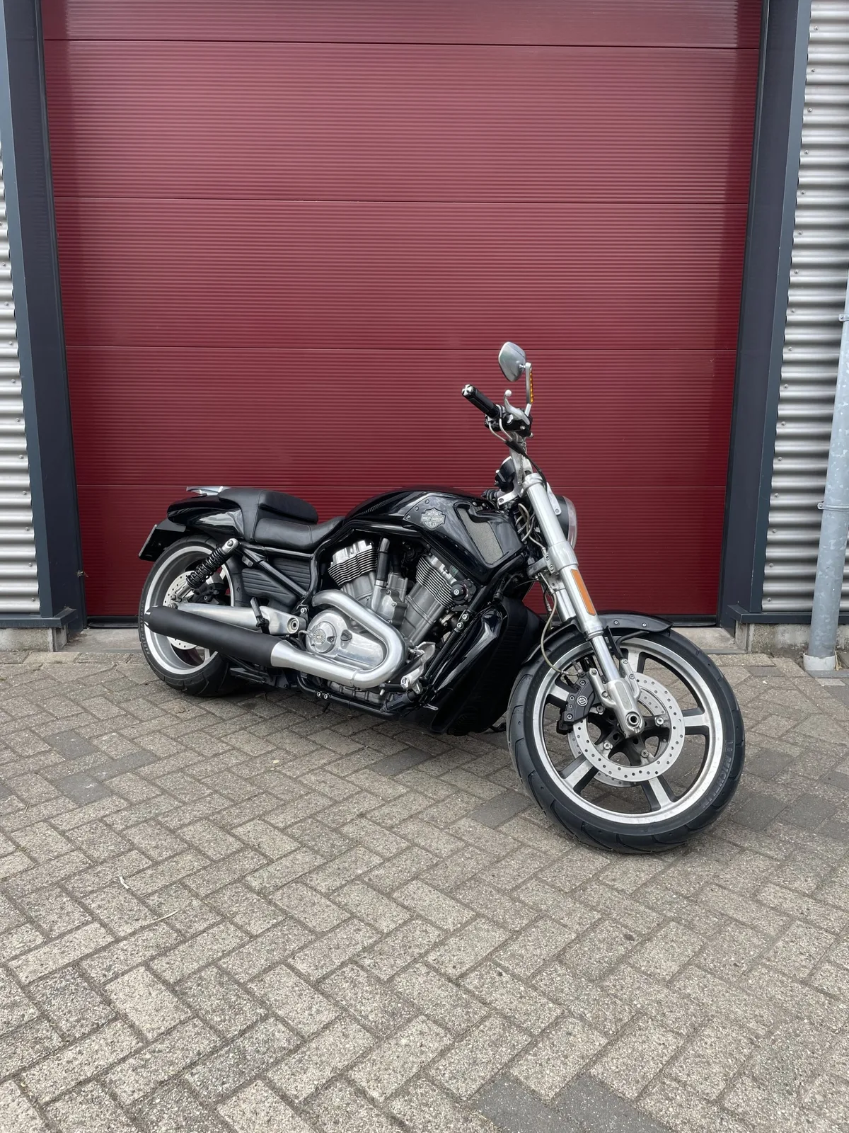Harley-Davidson V-Rod Muscle (2012) — foto 1