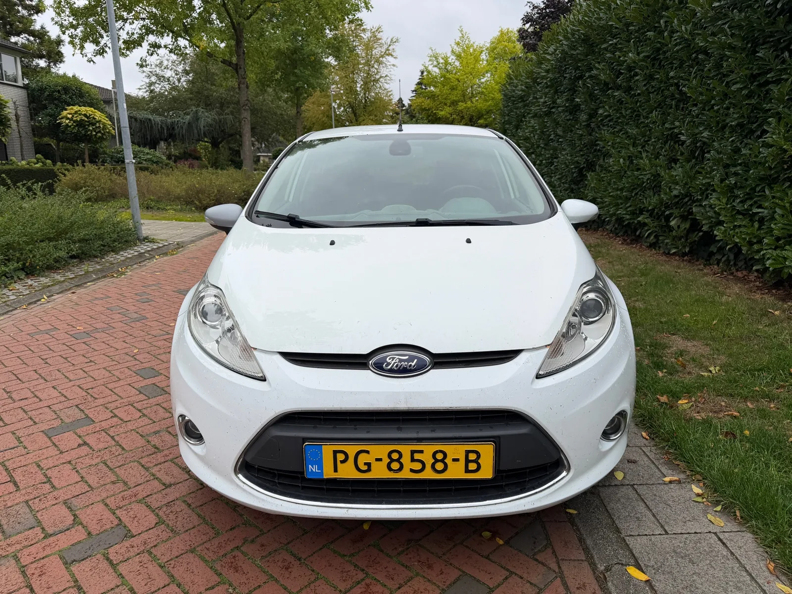 Ford Fiesta (2010) — foto 1