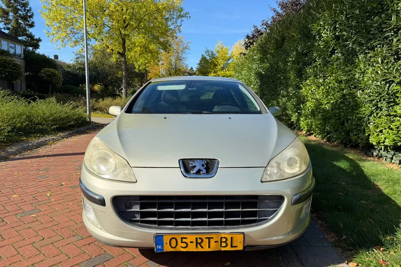 Peugeot 407 (2005)