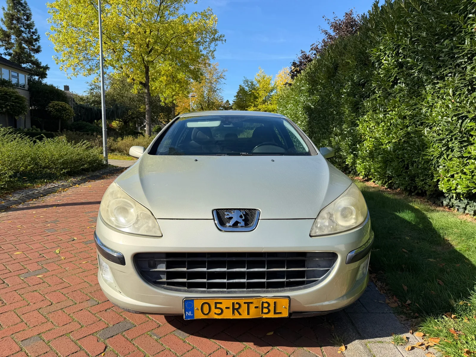 Peugeot 407 (2005) — foto 1