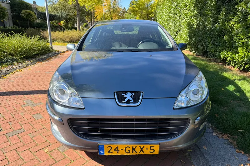 Peugeot 407 (2008)