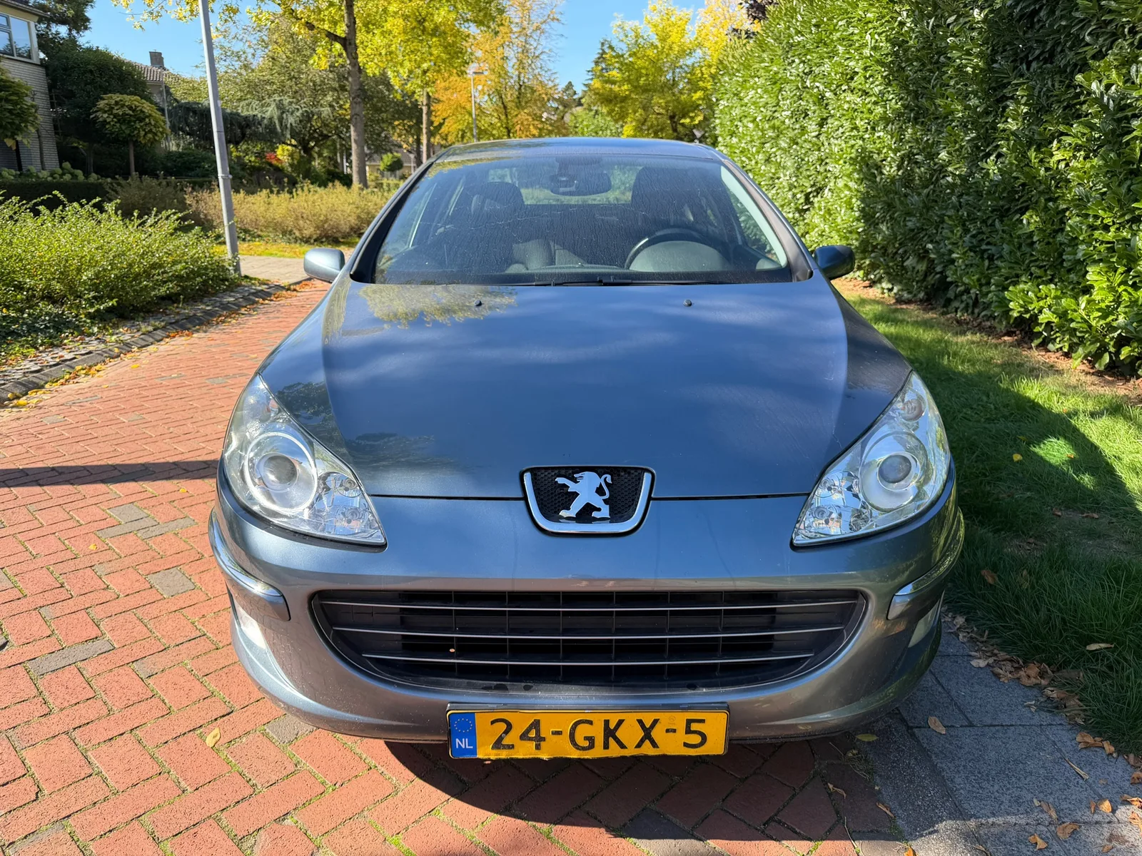 Peugeot 407 (2008) — foto 1