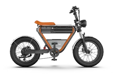 Rictor K1 elektrische fatbike met 250W (2026) — foto 1
