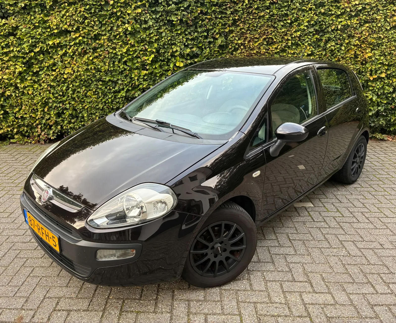 Fiat Punto Evo (2011) — foto 1