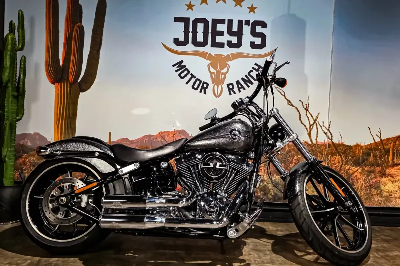 Harley-Davidson Softail (2013)