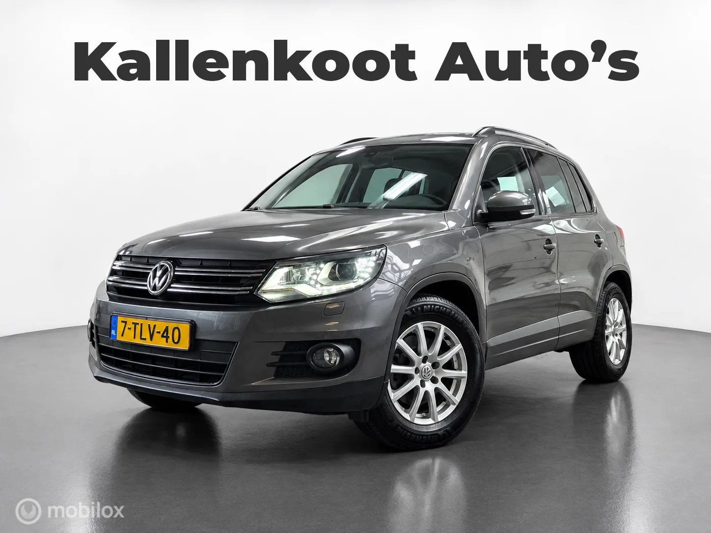 Volkswagen Tiguan (2014) — foto 1