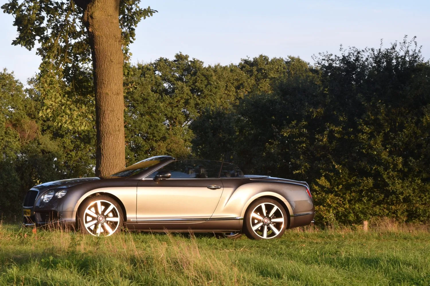 Bentley Continental GTC (2015) — foto 1