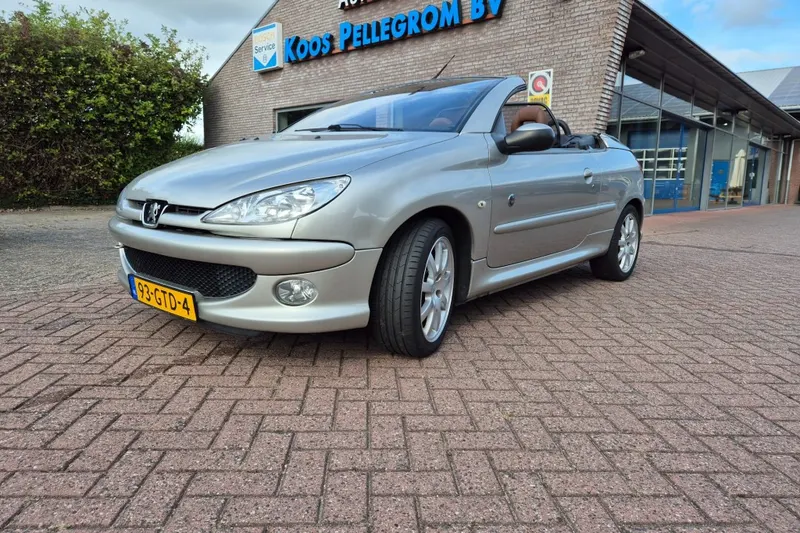 Peugeot 206 (2006)