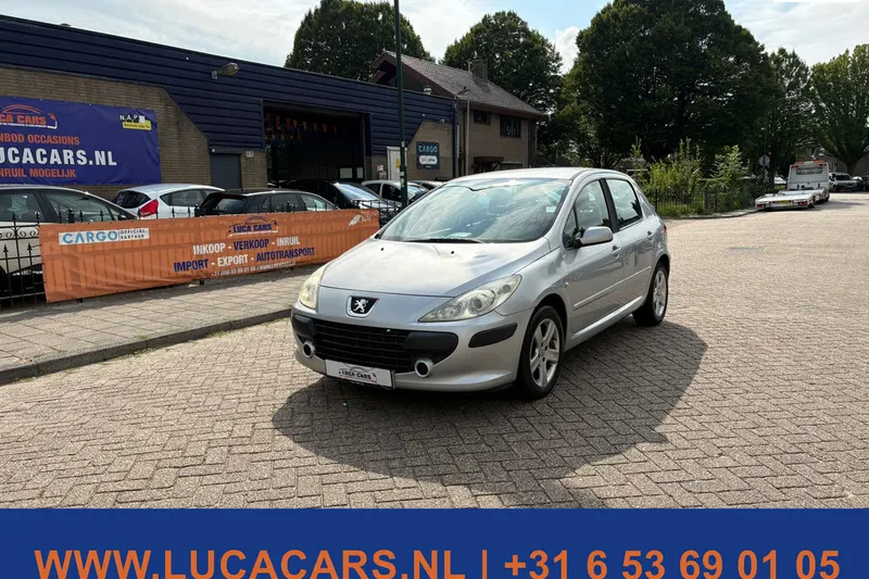 Peugeot 307 (2007)