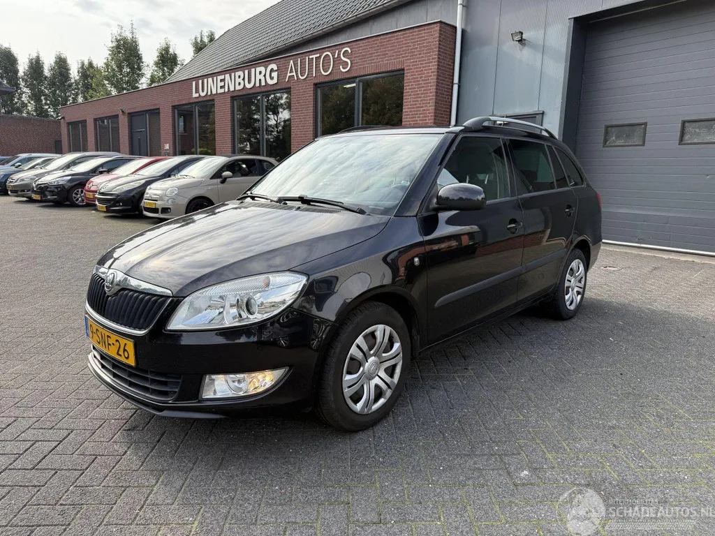 Škoda Fabia (2014) — foto 1