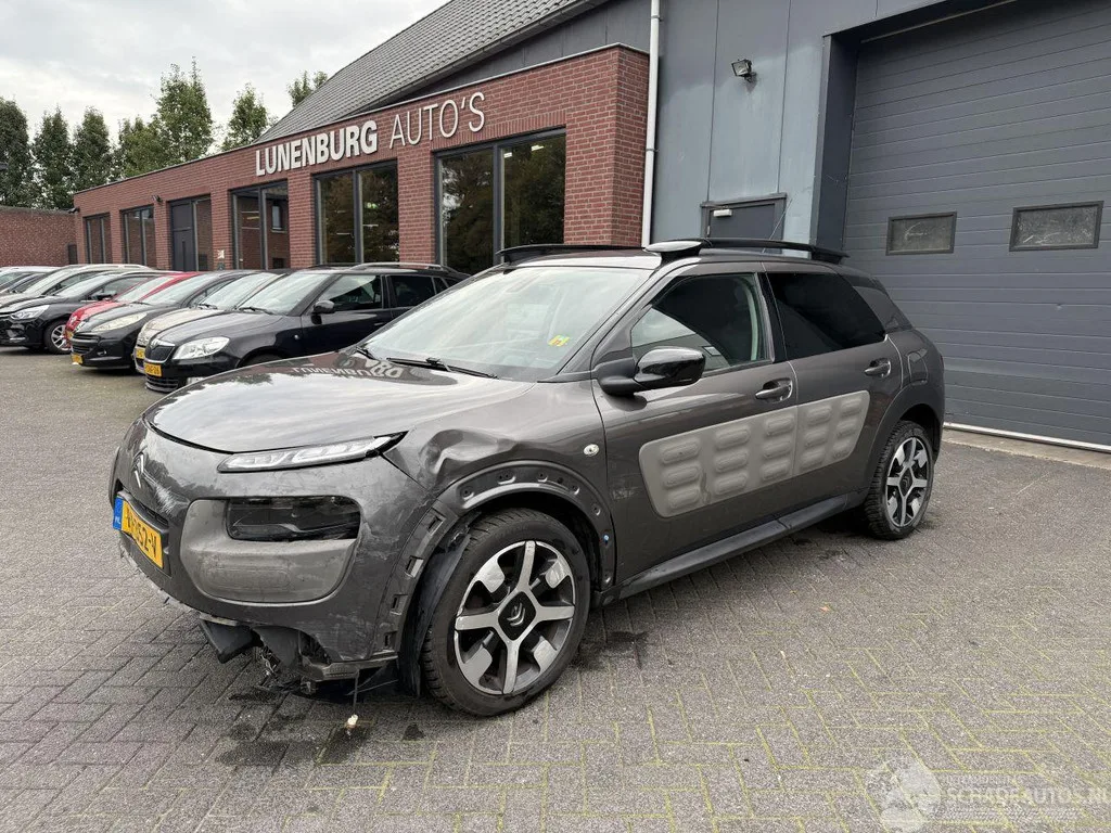 Citroën C4 Cactus (2018) — foto 1