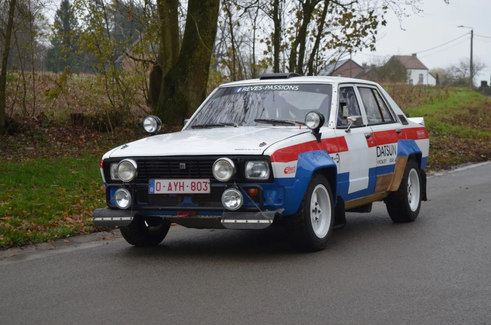 Datsun Violet (1978) — foto 1