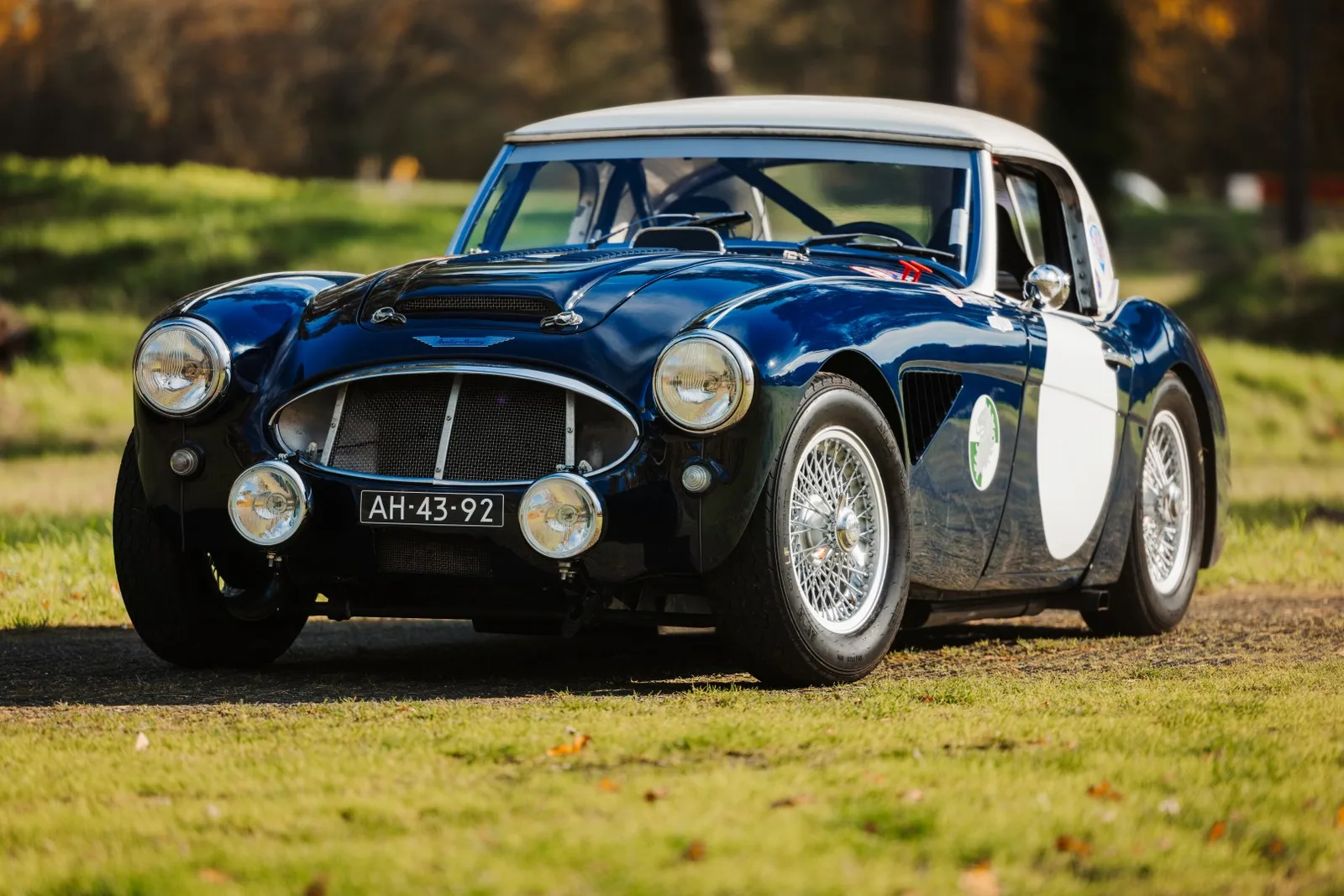 Austin Healey (1960) — foto 1