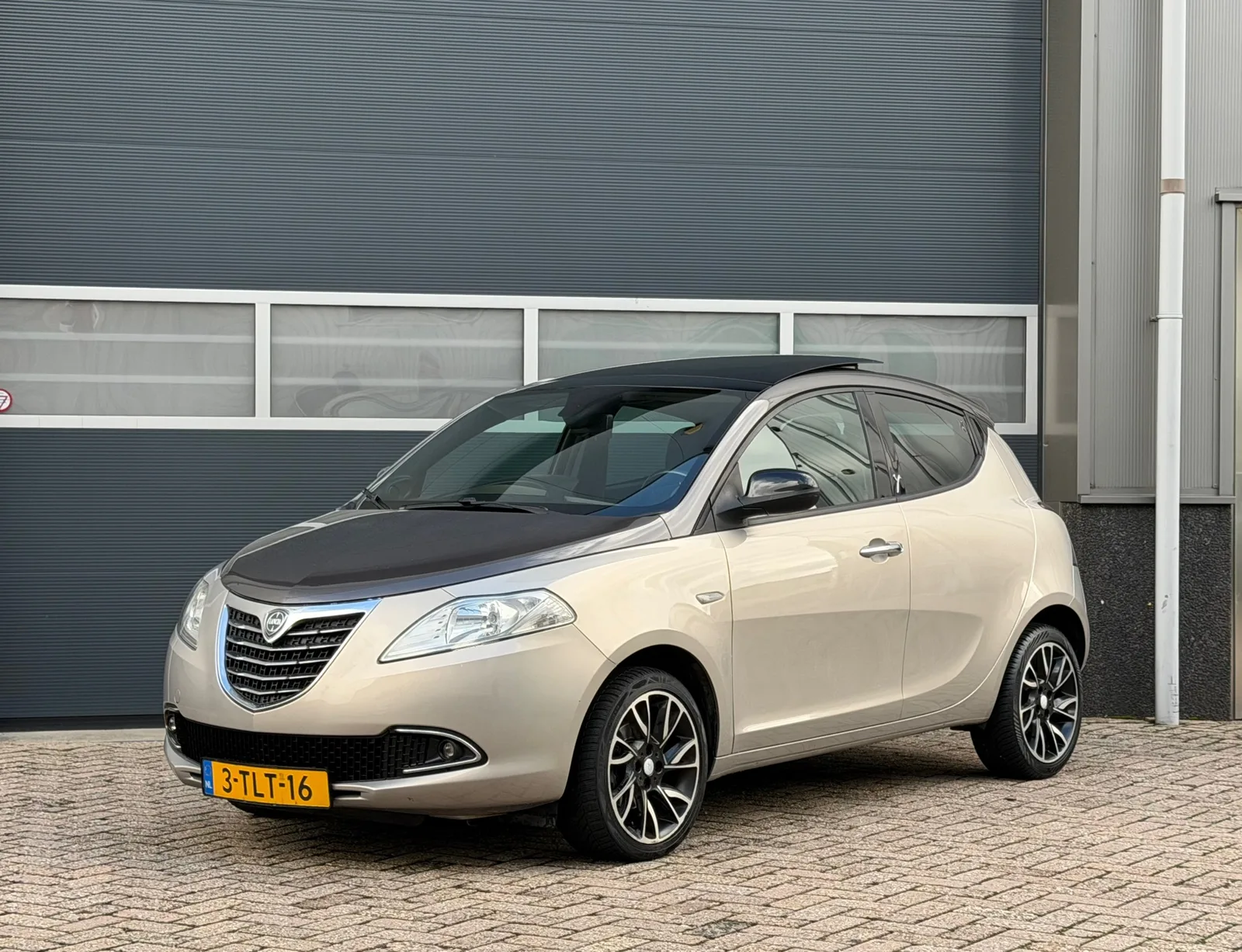 Lancia Ypsilon (2014) — foto 1
