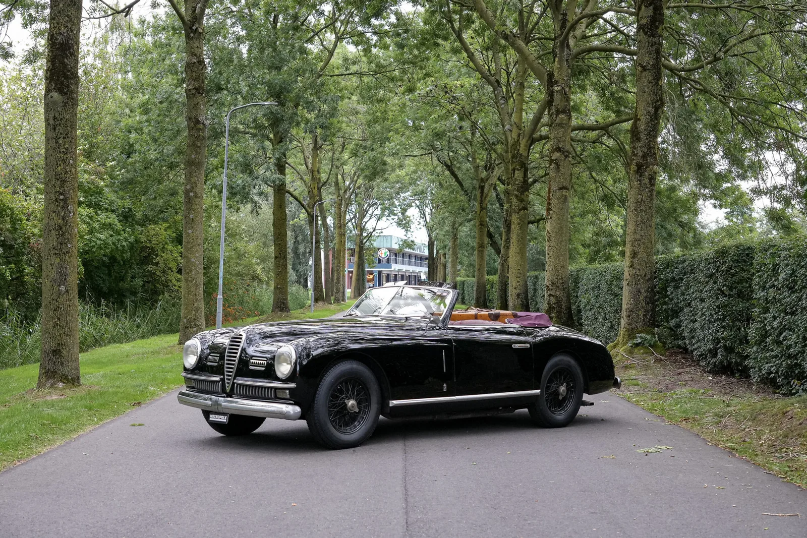 Alfa Romeo 6C (1949) — foto 1