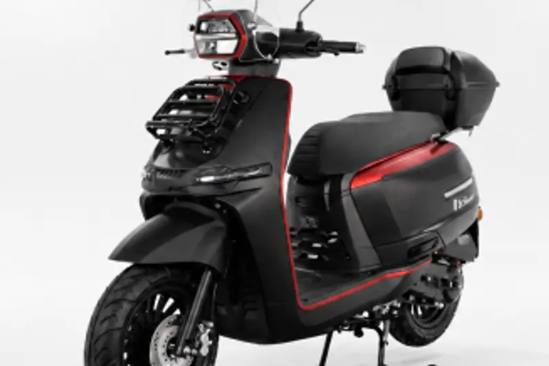 Mi Mi Inverno TY50 Olive (2026)
