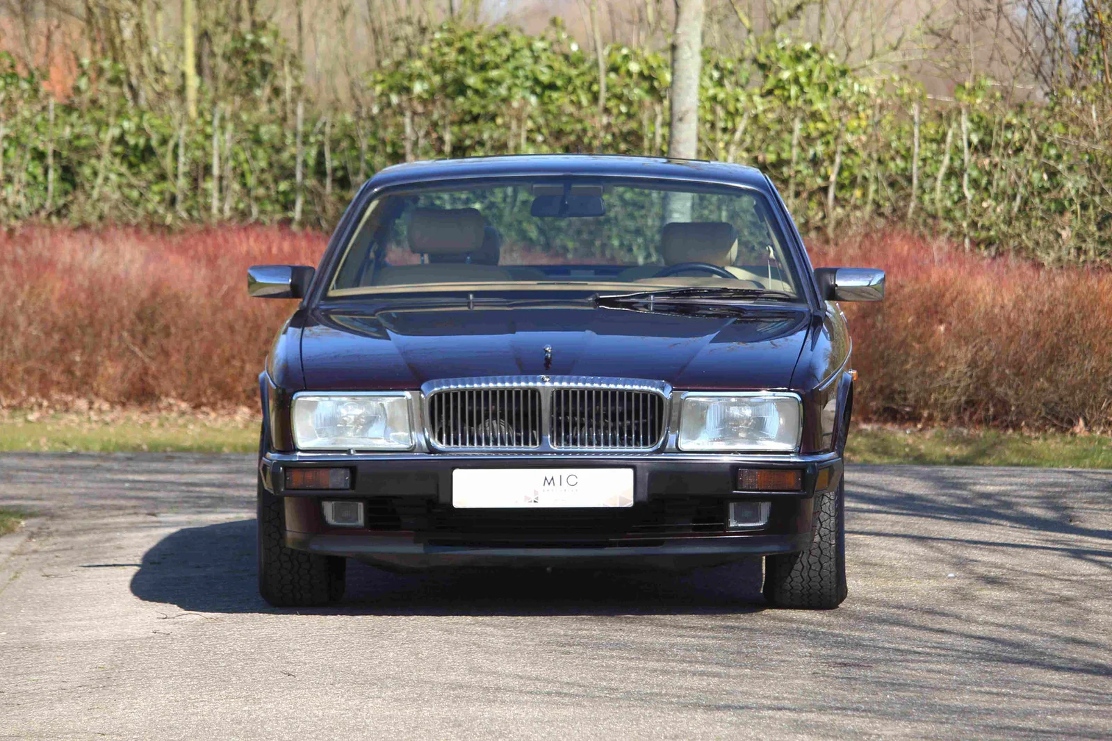 Daimler Double Six (1993) — foto 1