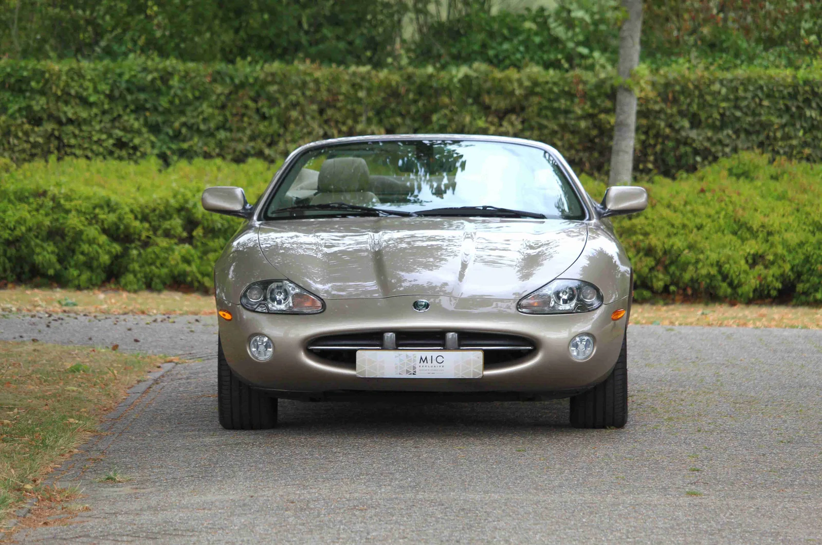 Jaguar XK8 (2003) — foto 1