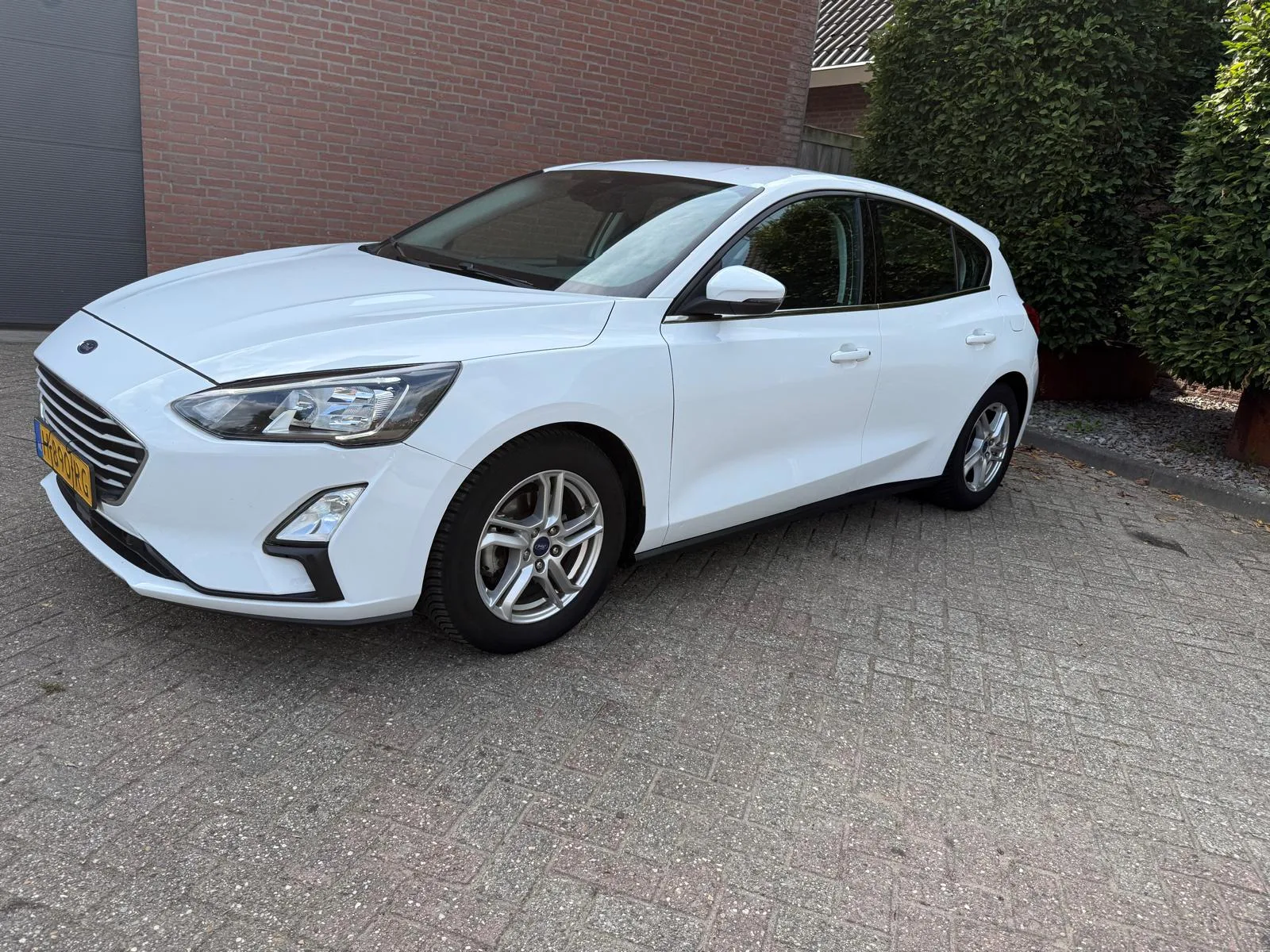 Ford Focus (2020) — foto 1