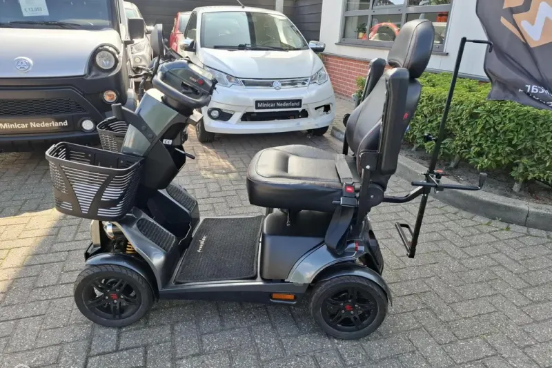 Life & Mobility Mango (2025)