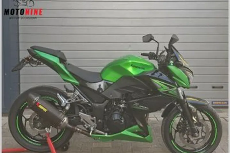 Kawasaki Z300 (2015)