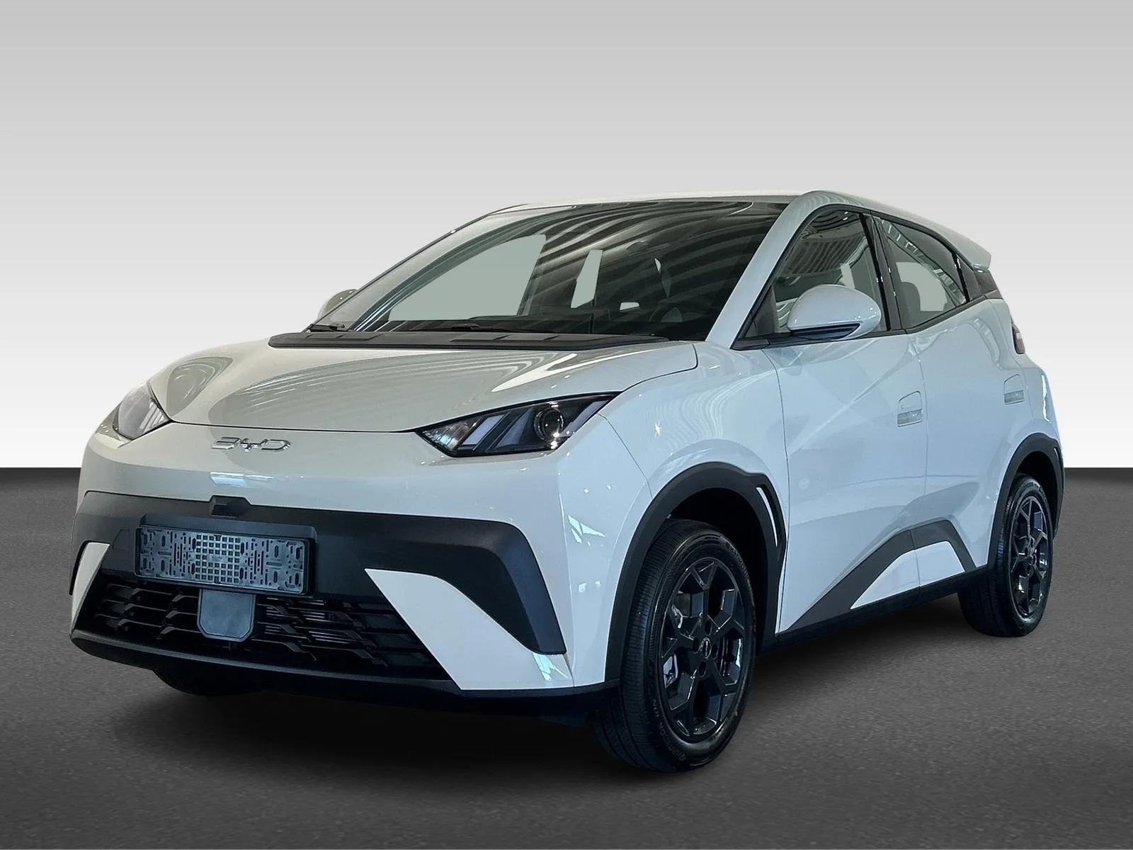 BYD Dolphin Surf (2026) — foto 1