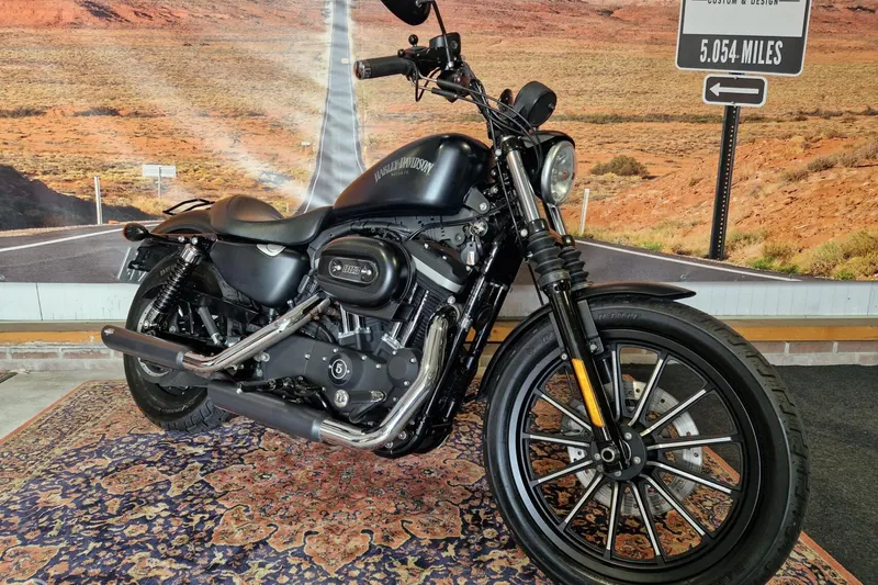 Harley-Davidson Iron 883 (2013)