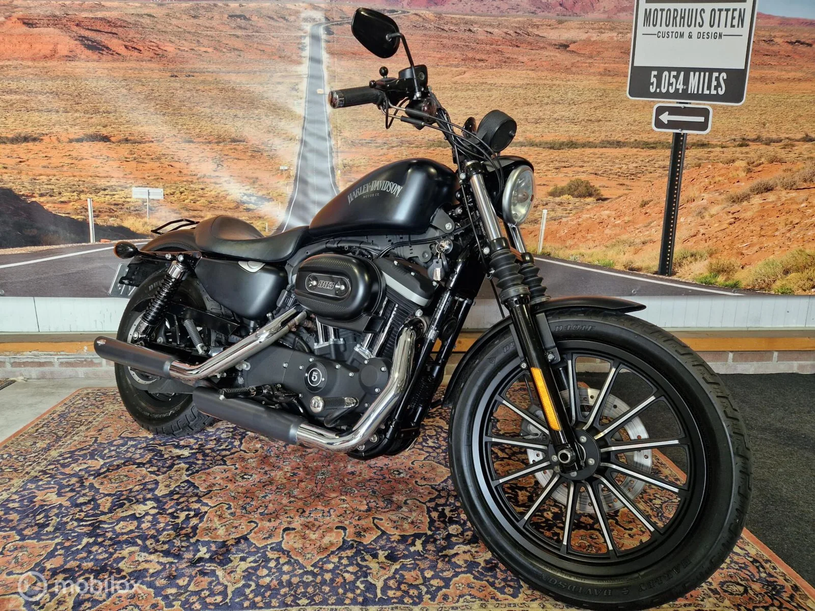 Harley-Davidson Chopper DIKSTE (2013) — foto 1
