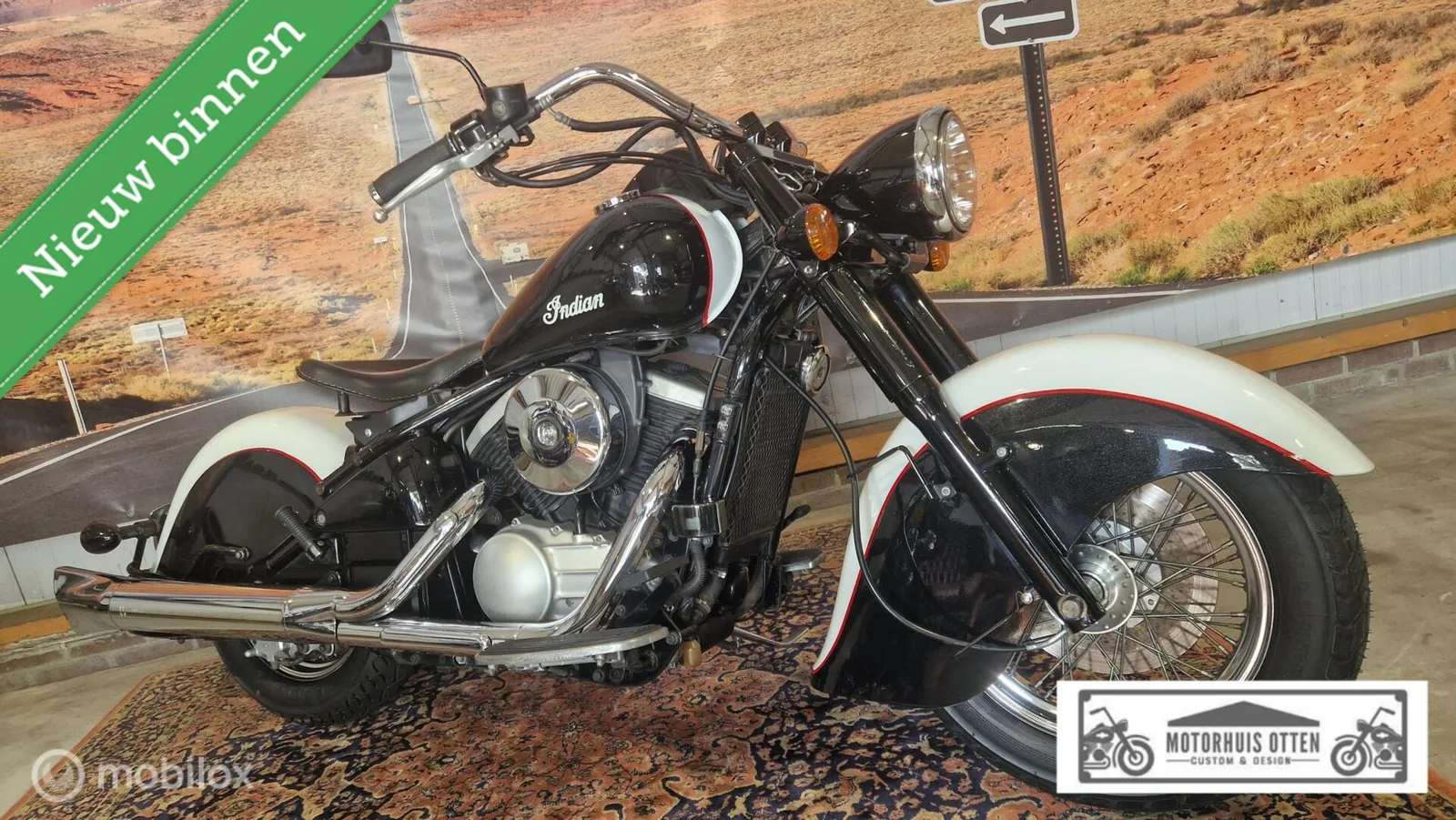 Kawasaki LOOK Kawasaki VN800 Drifter VN 800 RETRO (2002) — foto 1