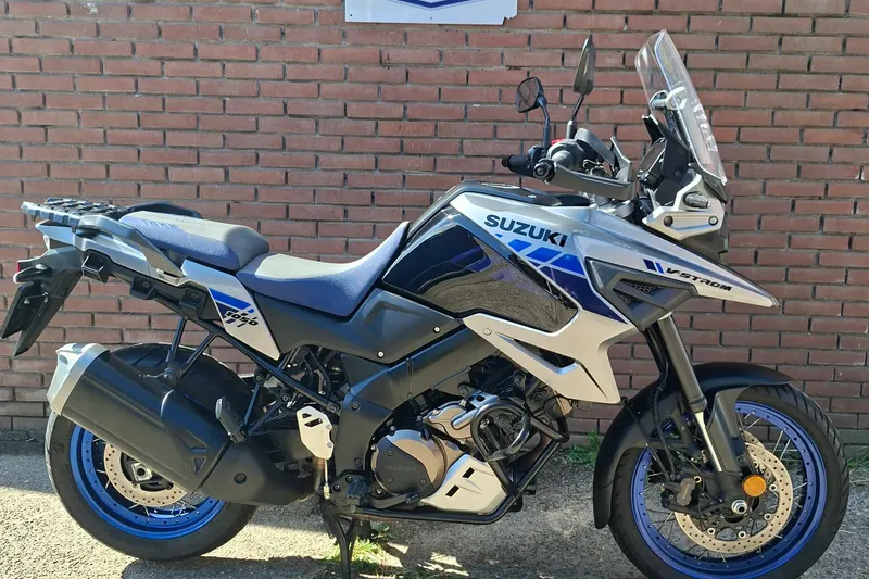 Suzuki DL (2022)