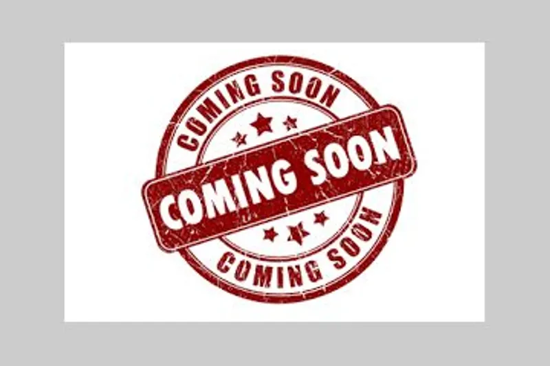 Harley-Davidson Street Glide (2019)